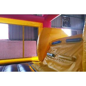 Inflatable Moonwalk with Slide
