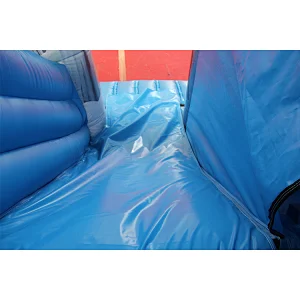 Frozen Inflatable jumping castle