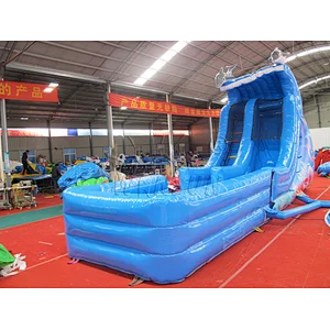 Dolphin Inflatable water slide