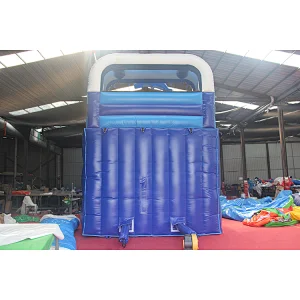 Dolphin Inflatable Water Slide