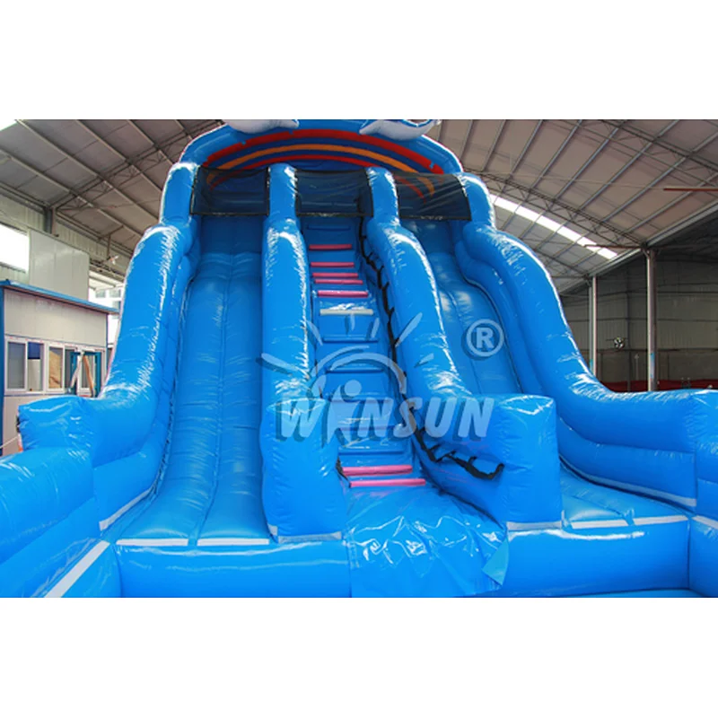 Ocean inflatable water slide