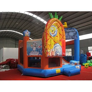 Inflatable Obstacle Course N Slide Combo
