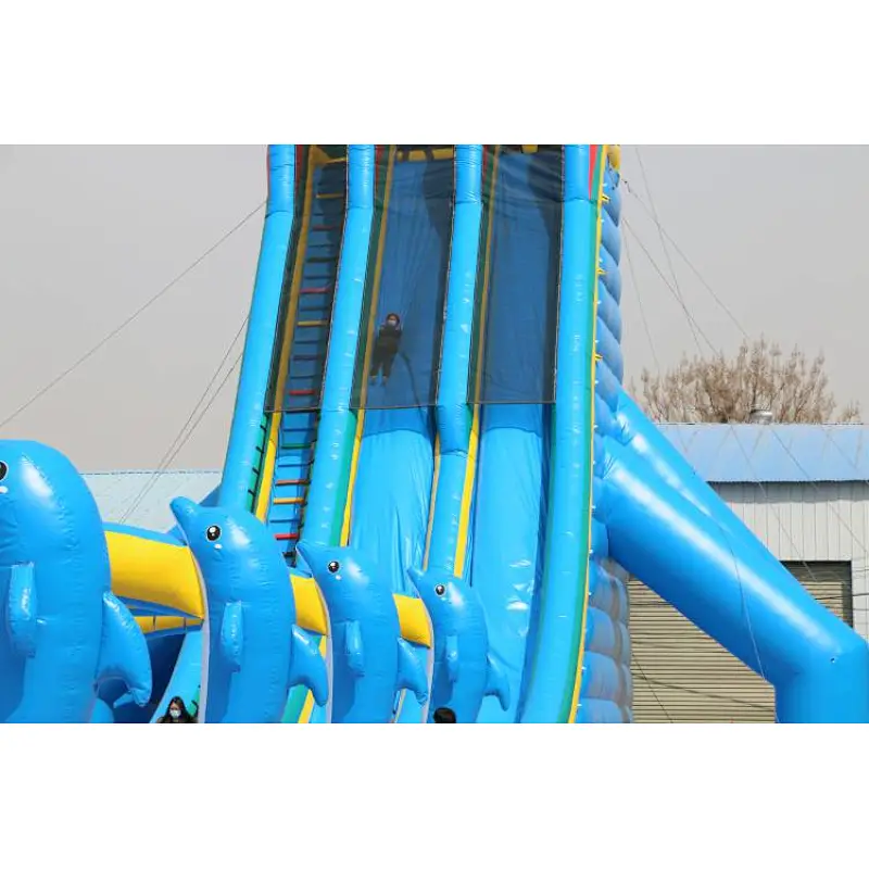 Blue Dolphin large water slide
