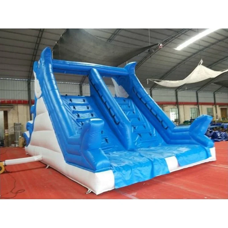 Inflatable Dolphin Water Slide