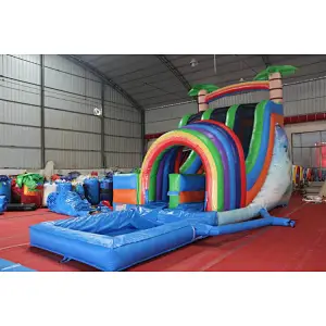 Dual Lane Water Slide with pool