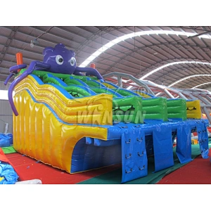 Octopus Inflatable pool slide