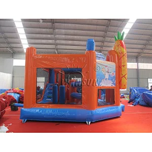 Inflatable Obstacle Course N Slide Combo