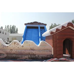 Inflatable Snow Tube Slide
