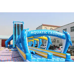 Blue Dolphin large water slide