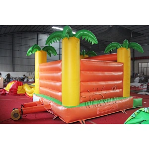Commercial Inflatable Bouncer