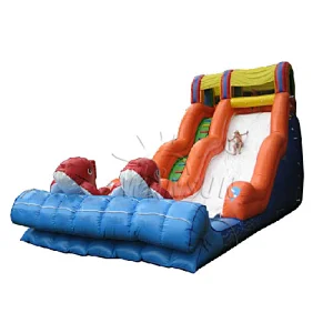 Inflatable water slide