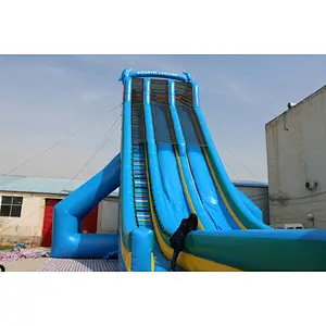 Blue Dolphin large water slide