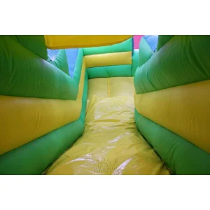 Animal World inflatable combo