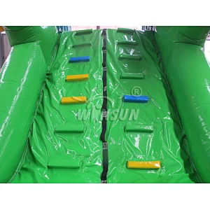 Lizard inflatable water slide