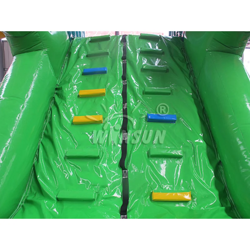 Lizard inflatable water slide