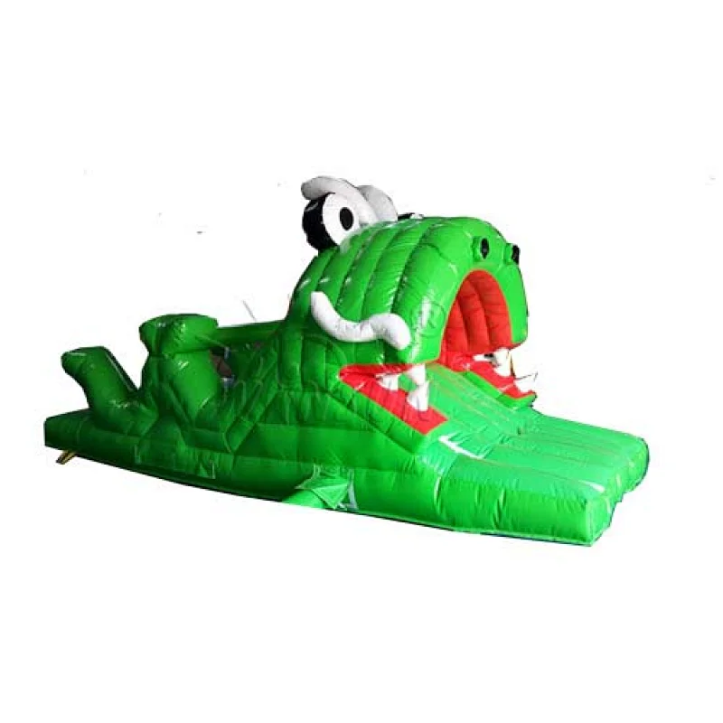 Inflatable Frog Slide For Kids