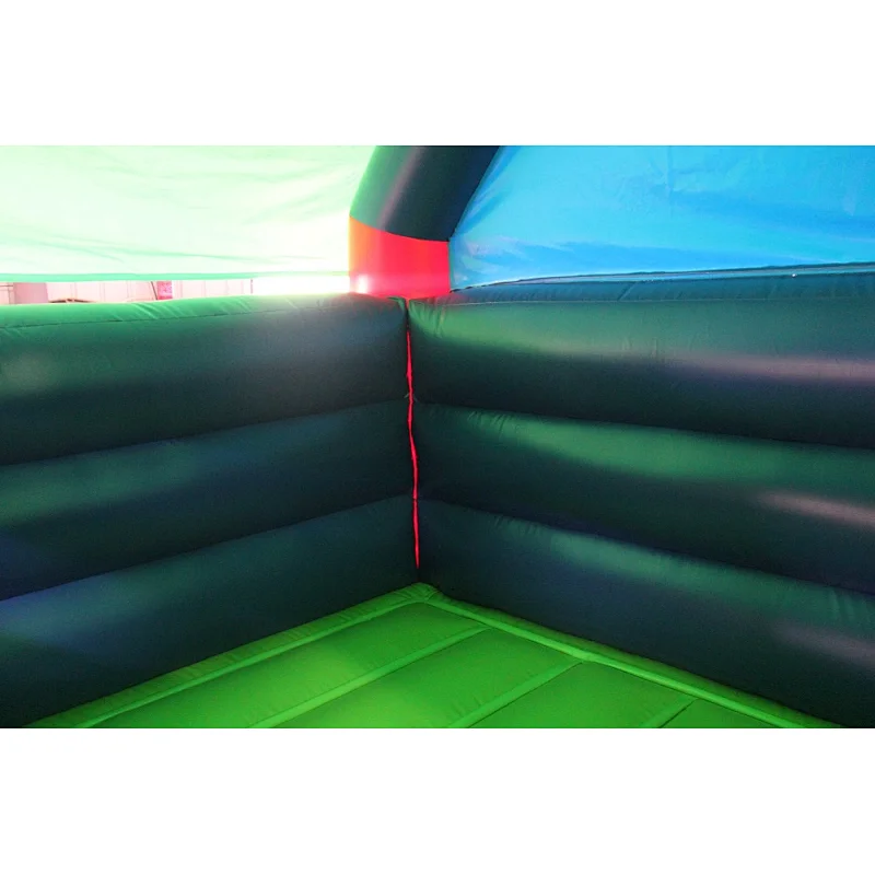Inflatable dog combo