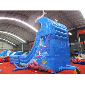Dolphin Inflatable water slide