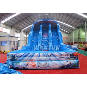 Ocean inflatable water slide