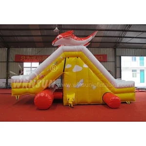 Inflatable water slide