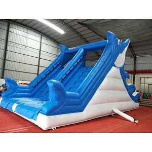 Inflatable Dolphin Water Slide