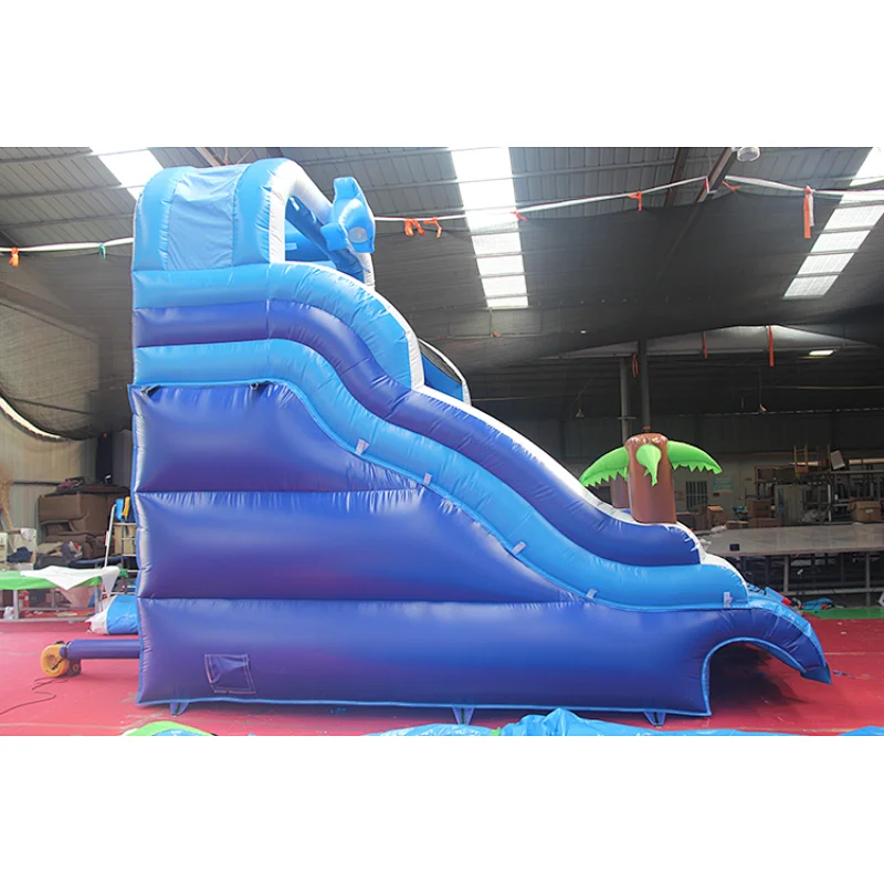 Dolphin Inflatable Water Slide