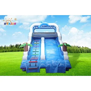 Dolphin Inflatable Water Slide