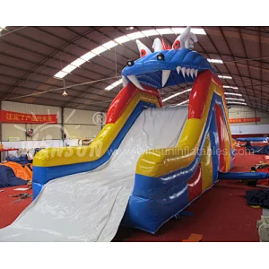 Inflatable water slide