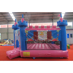 Inflatable Bounce House