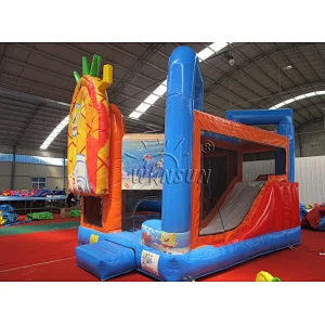 Inflatable Obstacle Course N Slide Combo