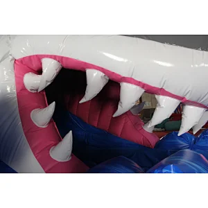 Shark water slide with inflatable pool