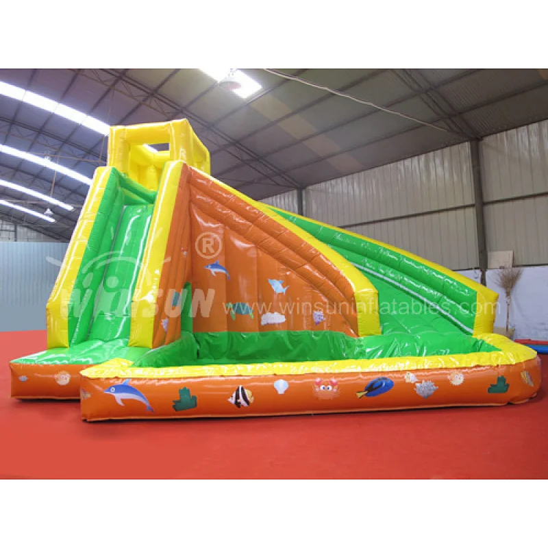 Inflatable Water Slide