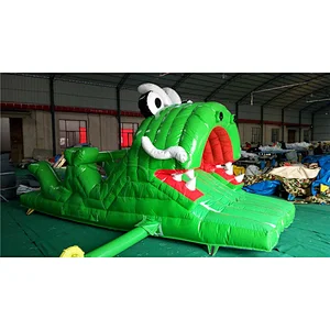 Inflatable Frog Slide For Kids