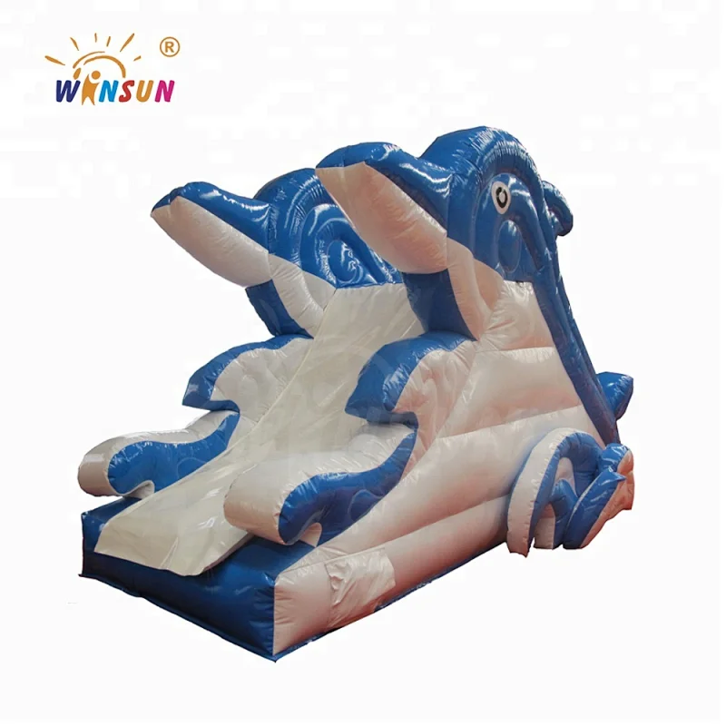 Inflatable water slide