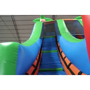 Dual Lane Water Slide with pool