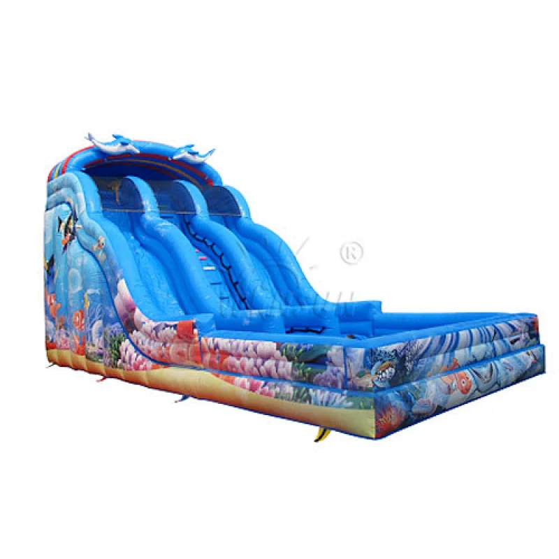 Ocean inflatable water slide