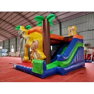 Tom and Jerry Inflatable Bounce House