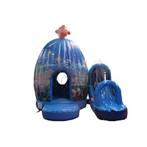 Inflatable Bounce Castle & Slide