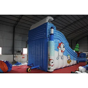 Ice world inflatable water slide