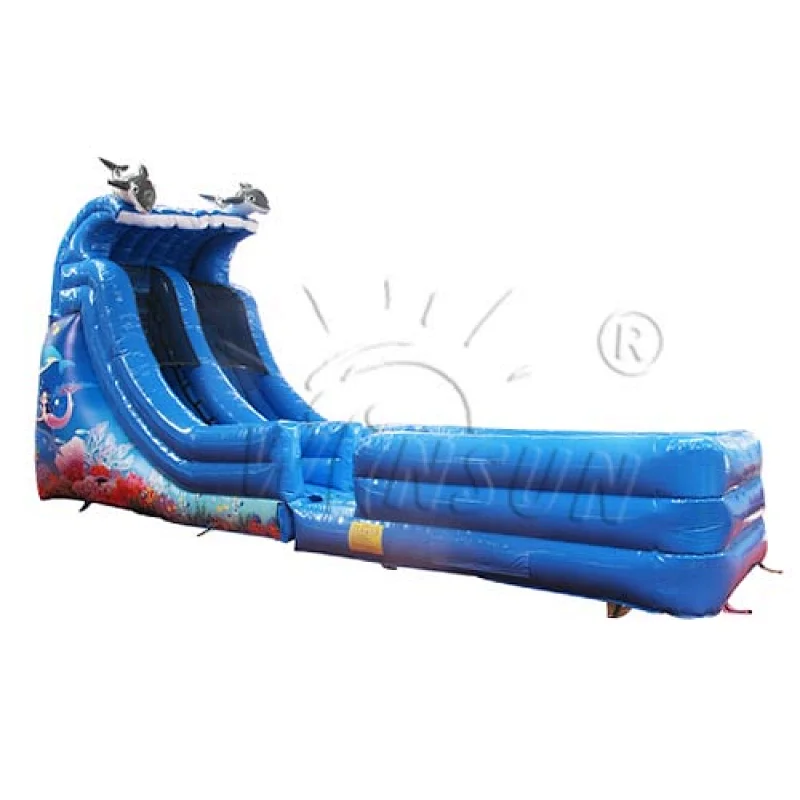 Dolphin Inflatable water slide