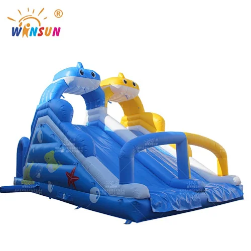 Custom Dual Lane Inflatable Water Slide