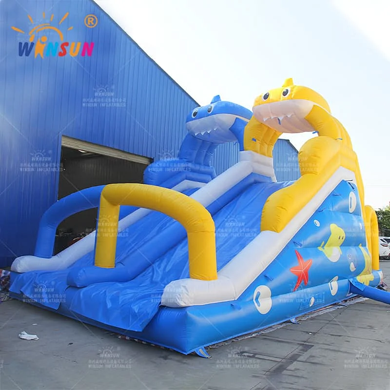 Custom Dual Lane Inflatable Water Slide