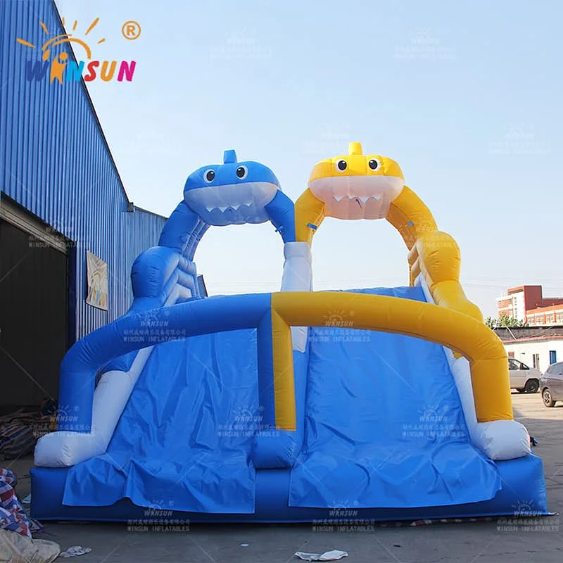 Custom Dual Lane Inflatable Water Slide