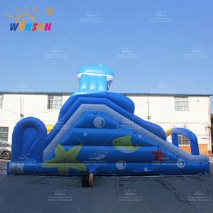 Custom Dual Lane Inflatable Water Slide