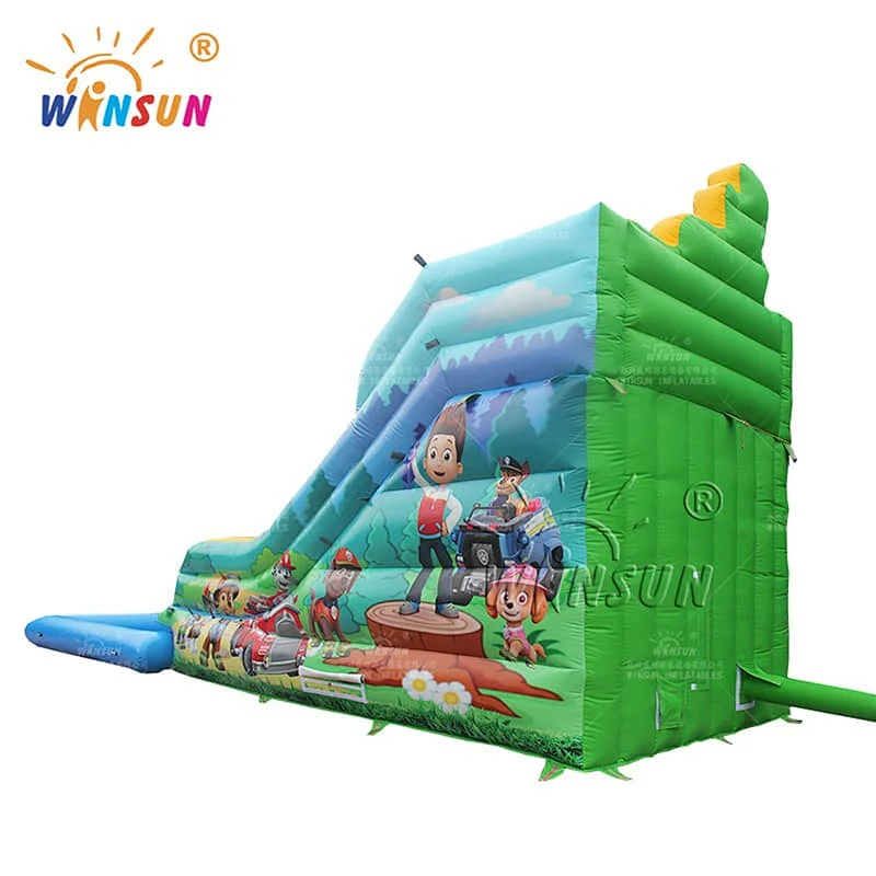 Custom Inflatable Water Slide with Pool Paw Patrol Theme