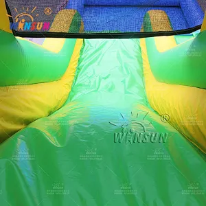 Custom Inflatable Water Slide with Pool Paw Patrol Theme