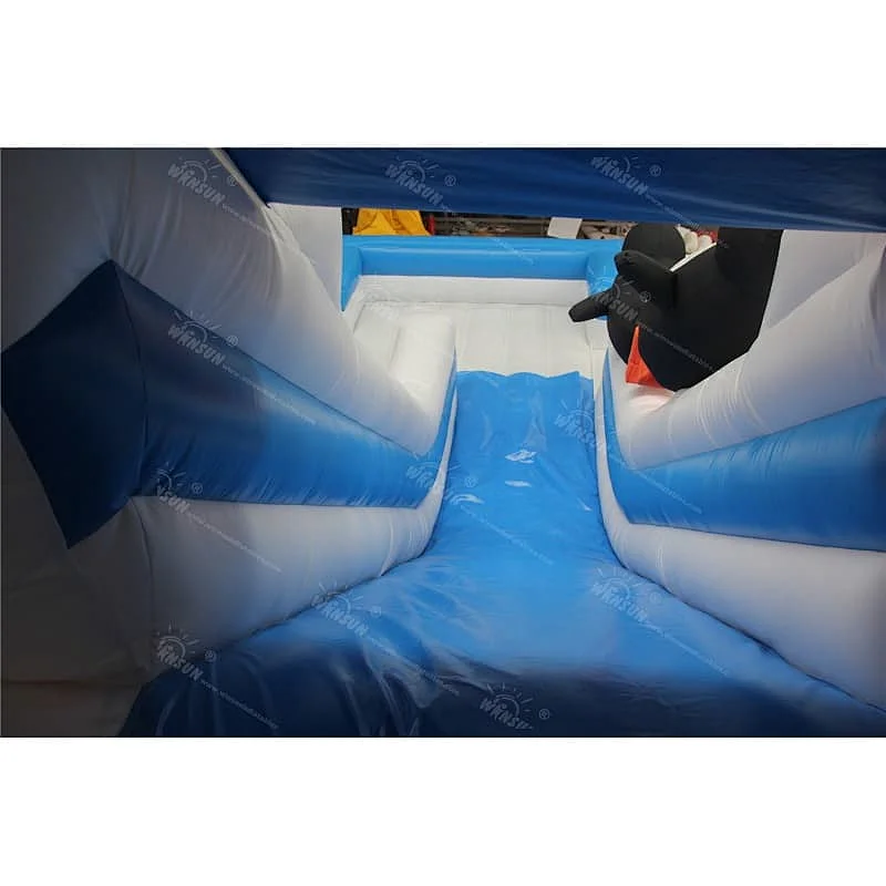 Penguins Water slide