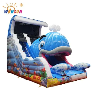 Inflatable Whale Slide