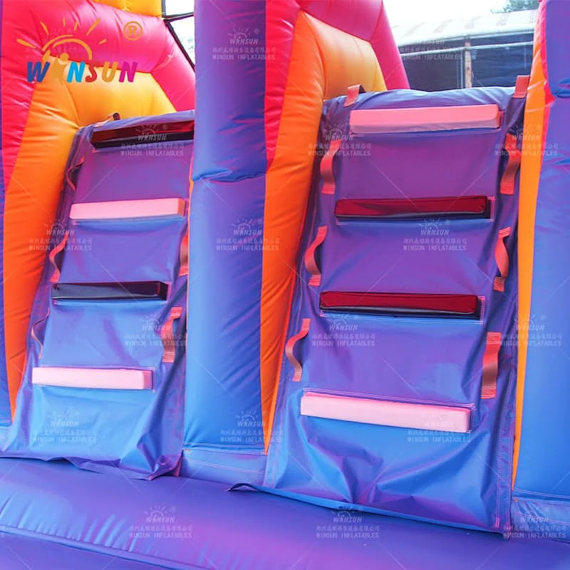 Inflatable Jumping Castle Dual Lane Slide