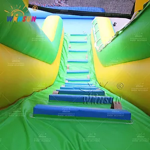 Custom Inflatable Water Slide with Pool Paw Patrol Theme
